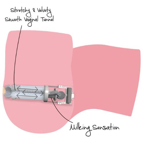 Bangers Big Ass Milking Bitch Masturbator Light Skin Tone from Nice 'n' Naughty